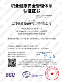 職業(yè)健康安全管理體系 職業(yè)健康安全管理體系